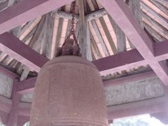 -中山大学学者灵芝(园南路店)