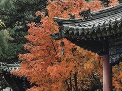 -五台山风景区