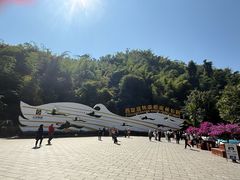 -西双版纳原始森林公园