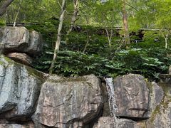 -宁海森林温泉