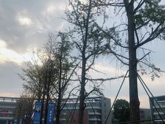 -金陵中学(河西分校)