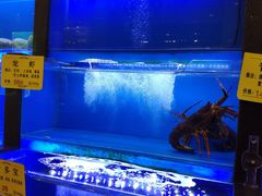 水产区-橄榄季酒店