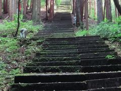 -武陵山森林公园