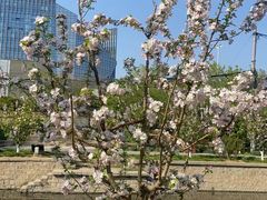 -元大都城垣遗址公园