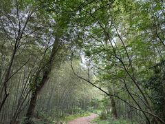 -杭州半山国家森林公园