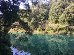 -广州市流溪河国家森林公园