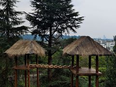 -云南野生动物园