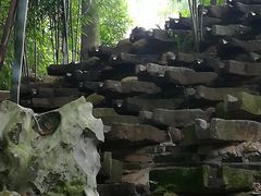 -老木棉·匠园