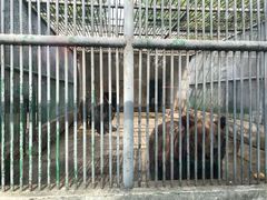 -祥源·阜阳生态乐园