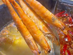 -阳阳老火锅(小南门店)