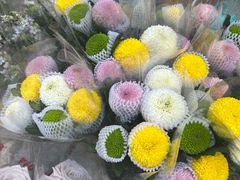 -循礼门鲜花花市(武汉循礼门店)