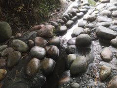 -成都市活水公园