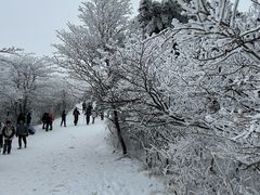 -安吉龙王山风景区