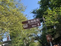 -鸡鸣赐茶(鸡鸣寺路店)
