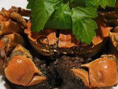 花雕太湖六月黄醉蟹-呼吸森林·生态农庄农家乐私房菜