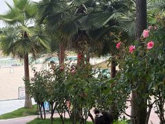 -仙海旅游度假区