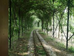 -合肥滨湖国家森林公园