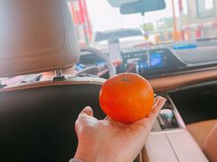 -舒记老友粉(埌西店)