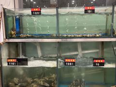 -大湾区鑫南酒家·粤菜(黄岐店)
