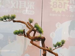 -耳艺采耳·足疗(市桥店)