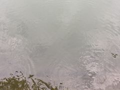 -西北湖绿化广场