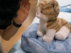 -龙湖重庆时代天街