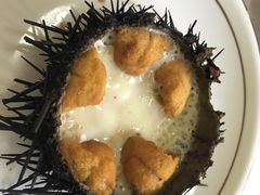 海胆蒸蛋-宾朋海鲜美食餐厅·特色美食(兴海路店)