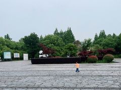 -苏州太湖国家湿地公园