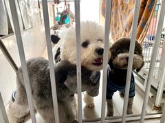 -美美酱宠物(外运路小区店)