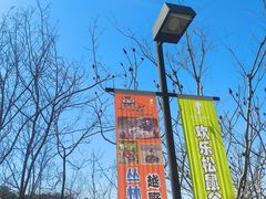-欢乐松鼠谷