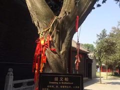 -关林