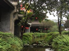 -泸州老窖景区
