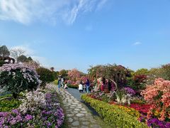 -东莞植物园