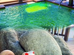 -大江户·温泉洗浴(浑南店)