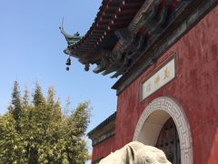 -焦山景区-万佛塔