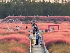 -嘉北郊野公园