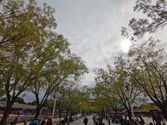 -束河人家(南锣鼓巷店)