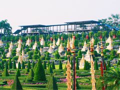 -东芭乐园