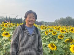 -汉长安城未央宫国家考古遗址公园