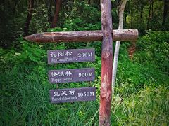 -北京西山国家森林公园