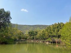 -宝岩生态观光园