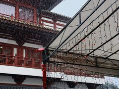 -新加坡佛牙寺龙华院