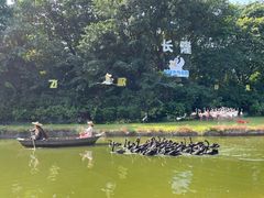-广州长隆飞鸟乐园