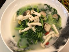 翅汤菜苗-悦湖公馆