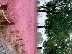 -汉长安城未央宫国家考古遗址公园