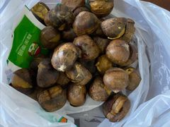 -隆美栗园(活力城店)