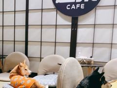 -逗柴咖啡屋·狗咖猫咖宠物桌游