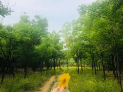 -青州市云门山风景区