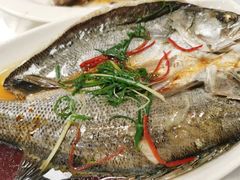 -日日香卤鹅饭店·澄海狮头鹅(澄海店)
