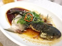泉水浸鲩鱼-畔山酒店中餐厅